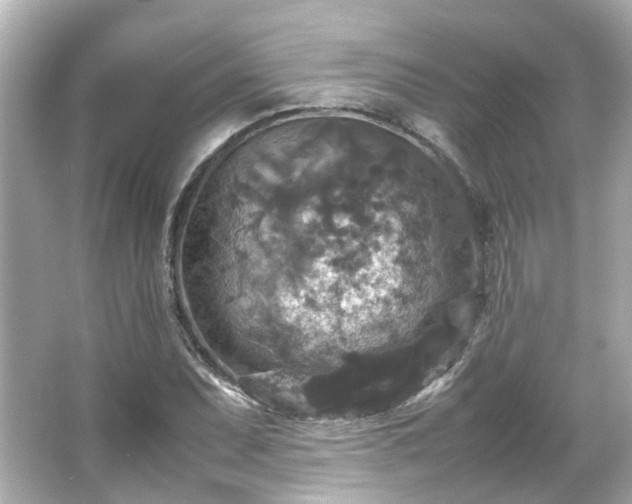 X0000066541071200603201420