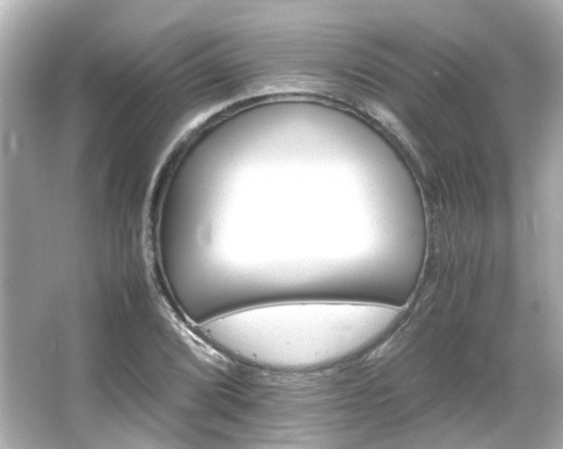 X0000066541072200603201420