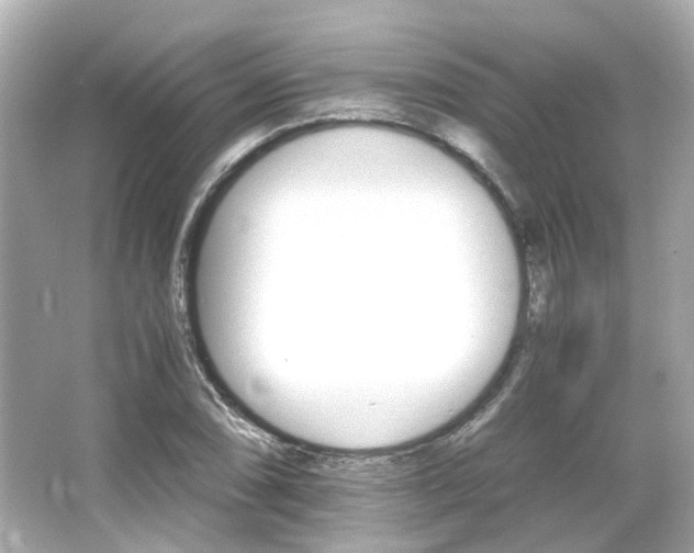 X0000066541074200603201420