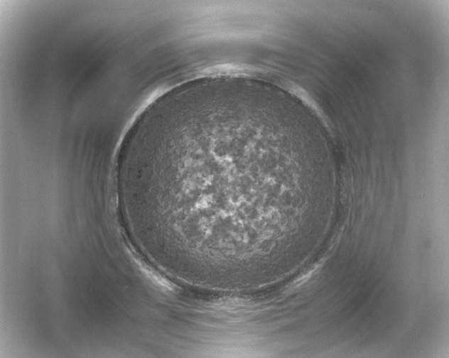 X0000066541075200603201420