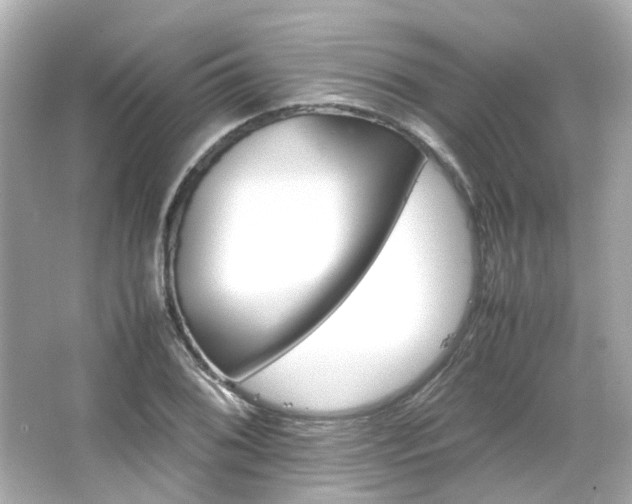 X0000066541076200603201419