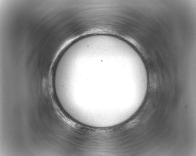 X0000066541078200603201419