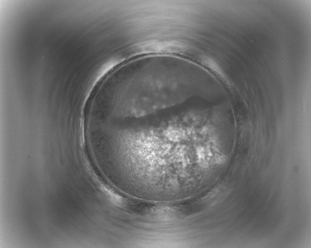 X0000066541079200603201419