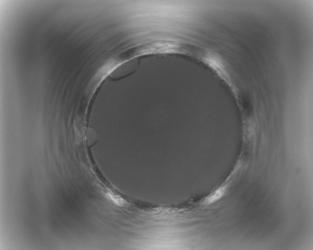 X0000066541081200603201419