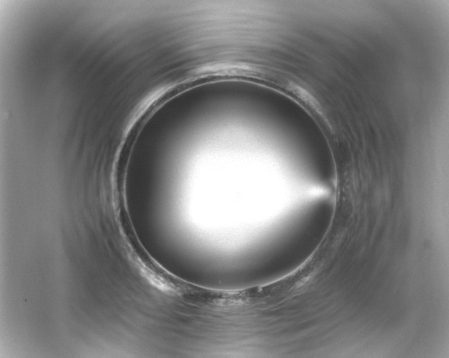 X0000066541082200603201419