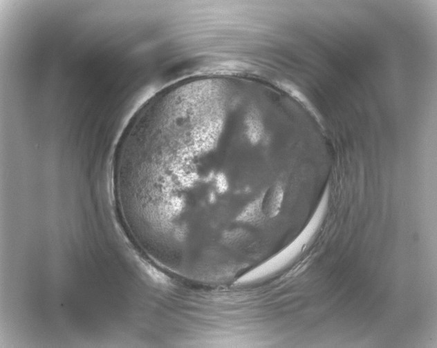 X0000066541083200603201419