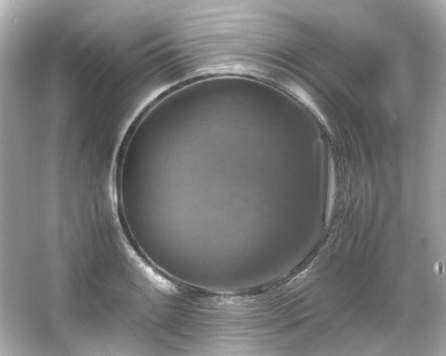 X0000066541084200603201419