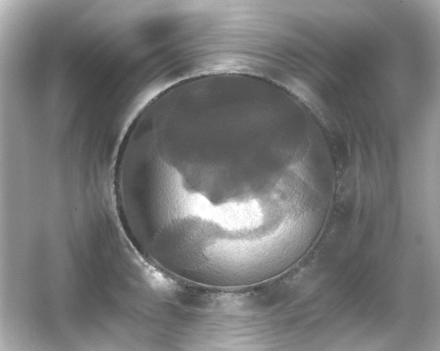 X0000066541086200603201419