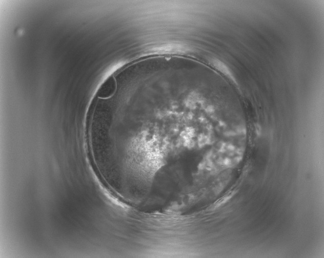 X0000066541087200603201419