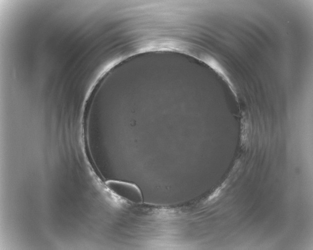 X0000066541088200603201419