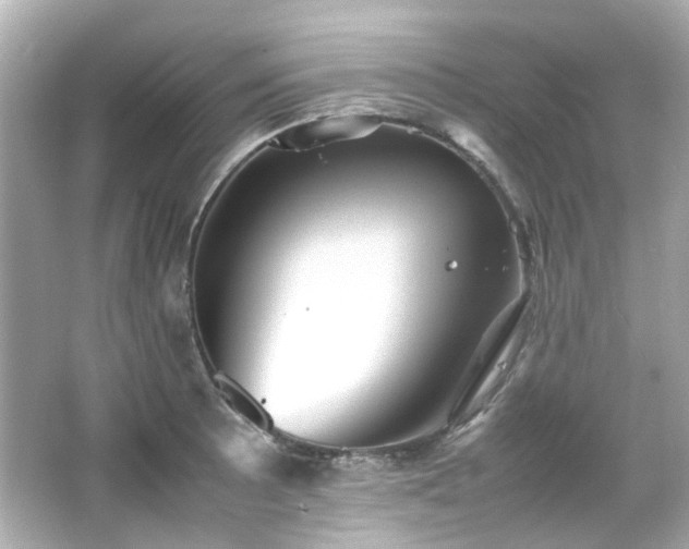 X0000066541089200603201419