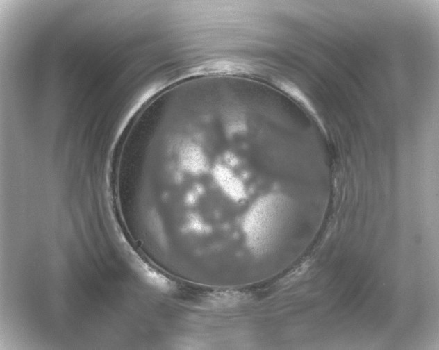 X0000066541091200603201419