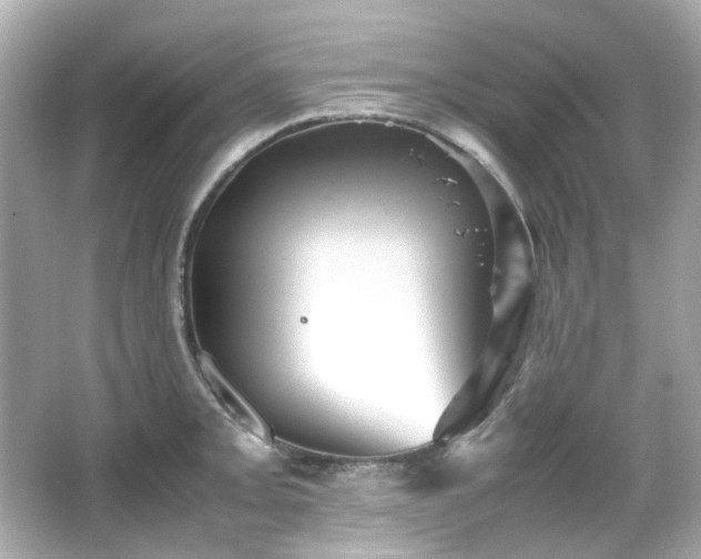 X0000066541093200603201419