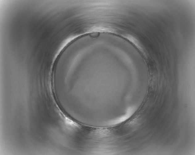 X0000066541094200603201419