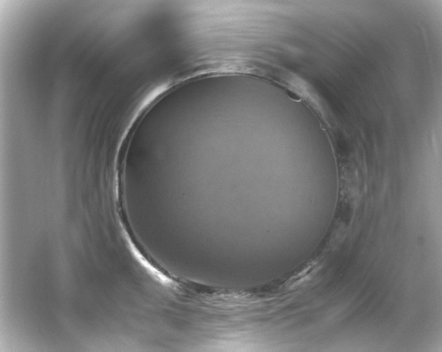 X0000066541095200603201419