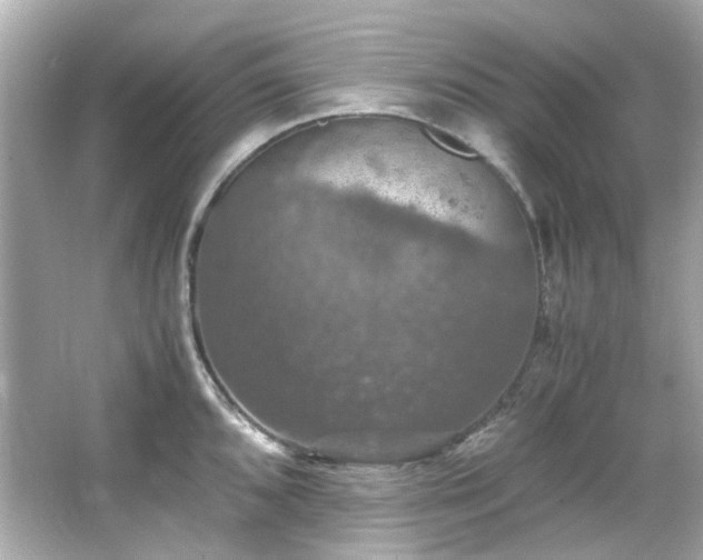 X0000066541096200603201419