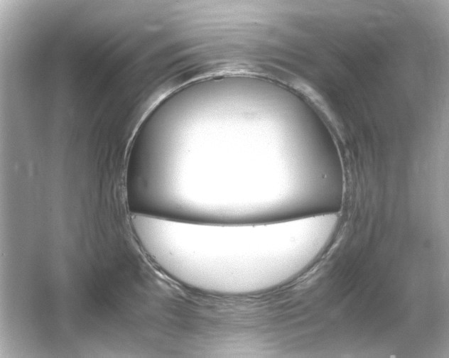 X0000066541097200603201419