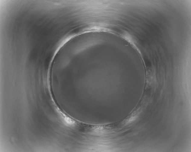 X0000066541098200603201419