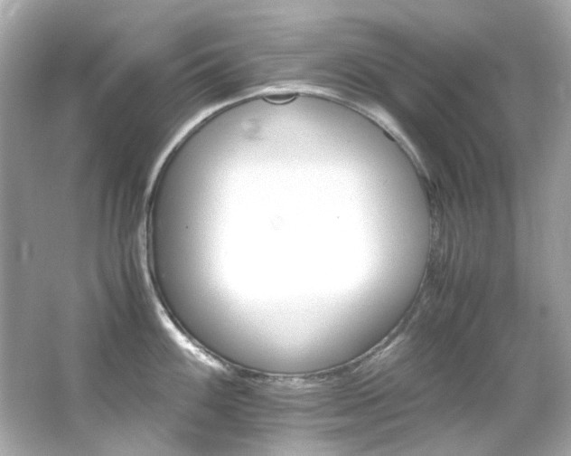 X0000066541100200603201419