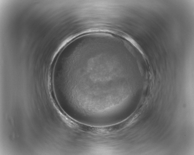 X0000066541101200603201419