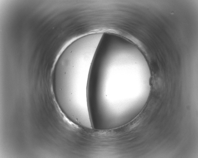 X0000066541102200603201419