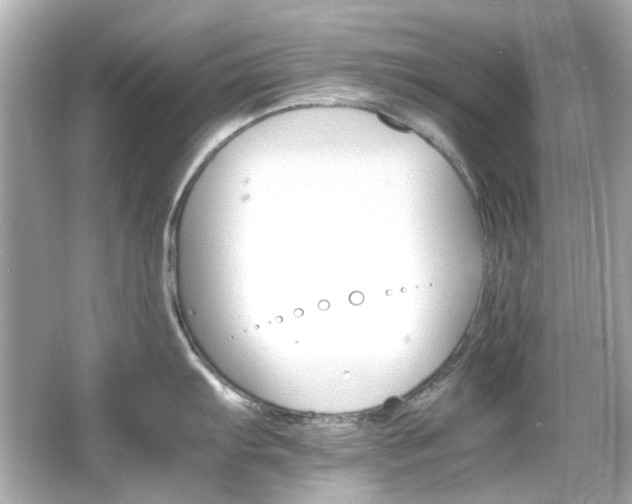 X0000066541103200603201419