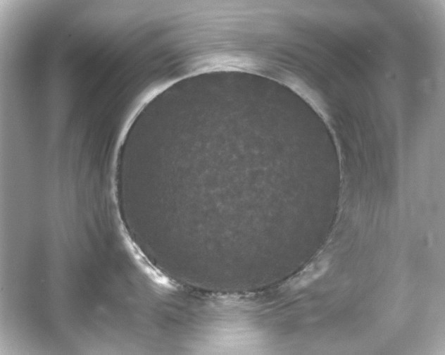 X0000066541104200603201419