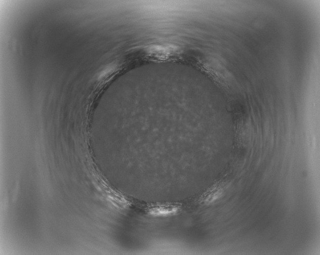 X0000066541105200603201418