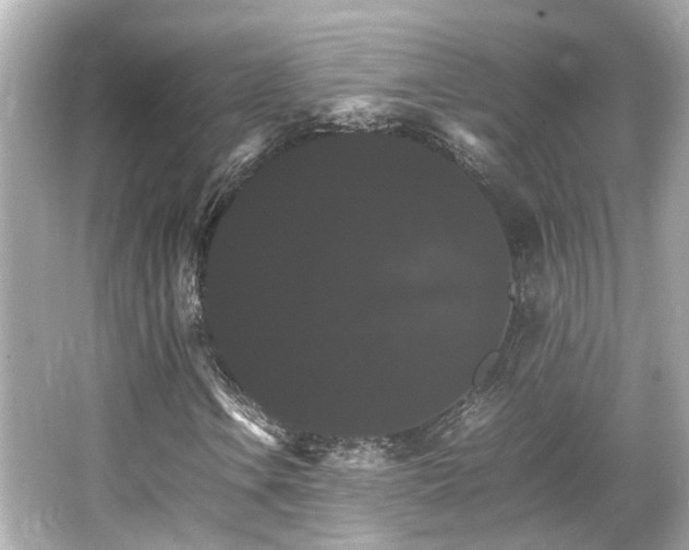 X0000066541106200603201418