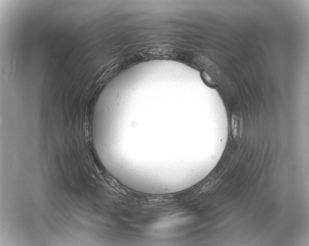 X0000066541107200603201418