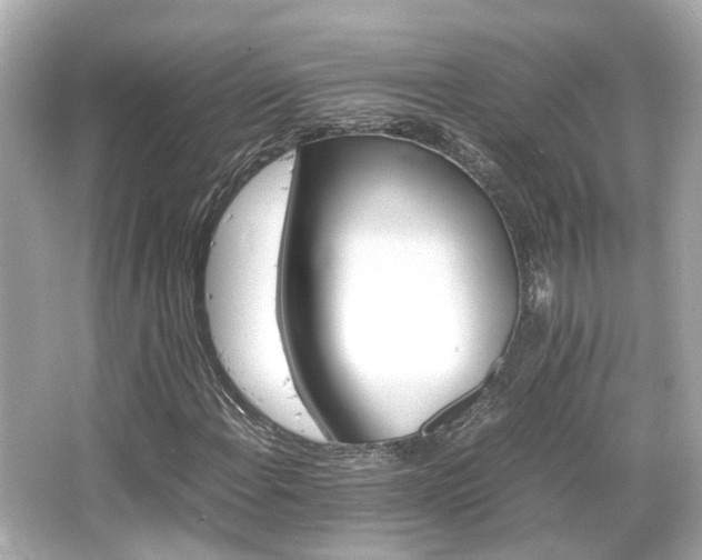 X0000066541108200603201418