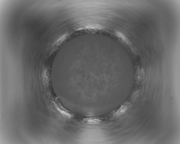 X0000066541110200603201418