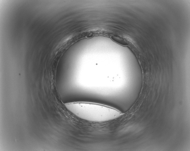 X0000066541111200603201418