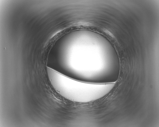 X0000066541112200603201418