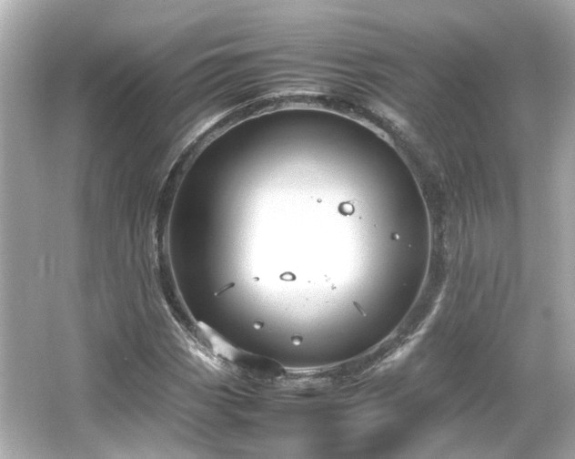 X0000066541113200603201418