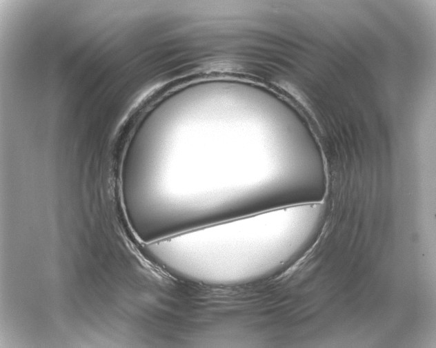 X0000066541115200603201418