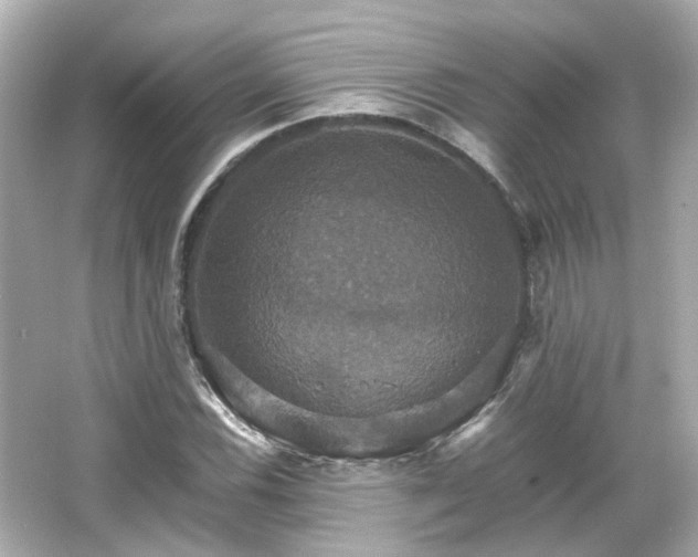 X0000066541116200603201418