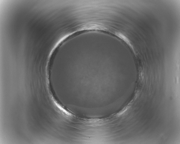 X0000066541120200603201418