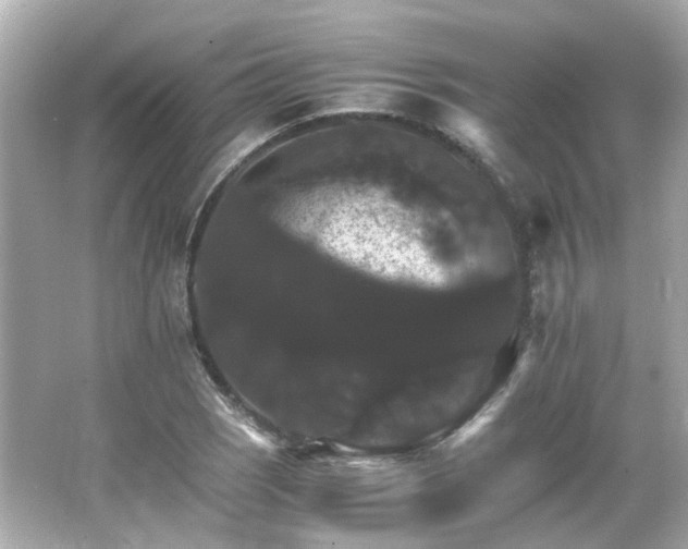 X0000066541121200603201418