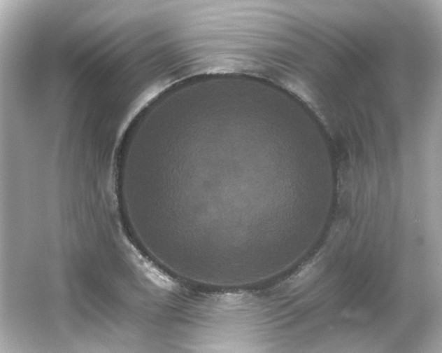 X0000066541122200603201418