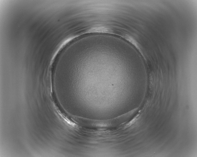 X0000066541123200603201419