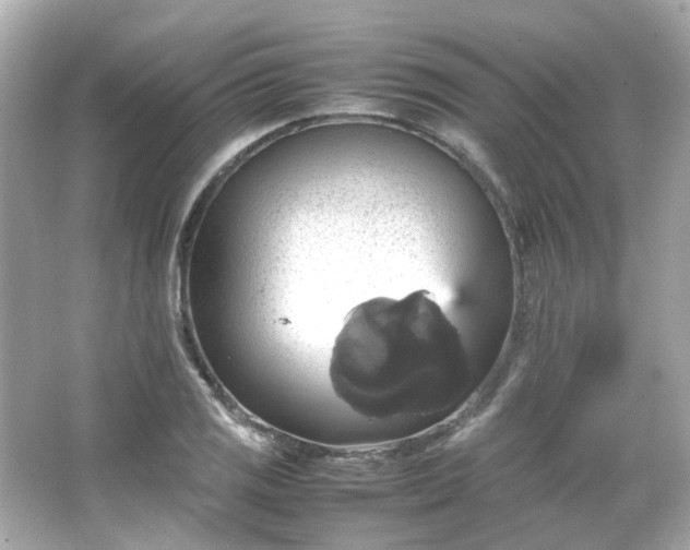 X0000066541125200603201419