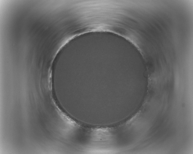 X0000066541126200603201419