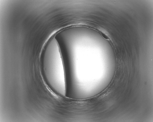 X0000066541127200603201419