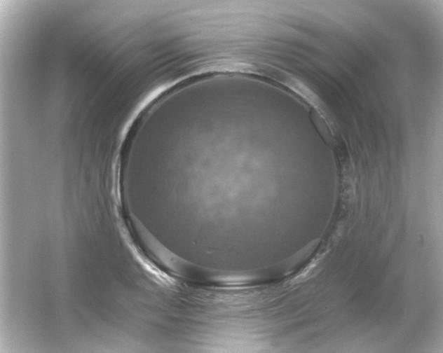 X0000066541128200603201419