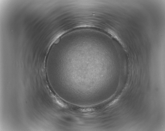 X0000066541129200603201419