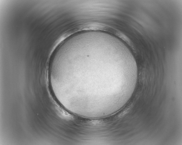 X0000066541130200603201419