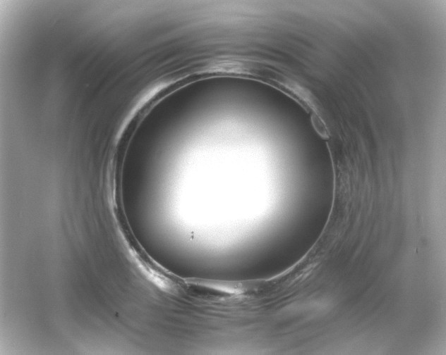 X0000066541131200603201419