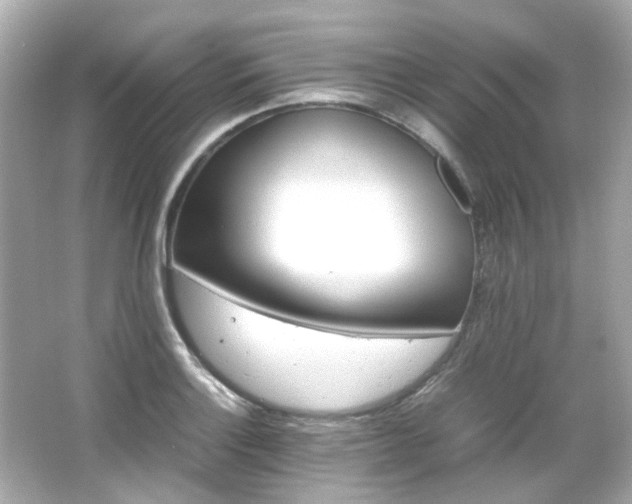 X0000066541132200603201419