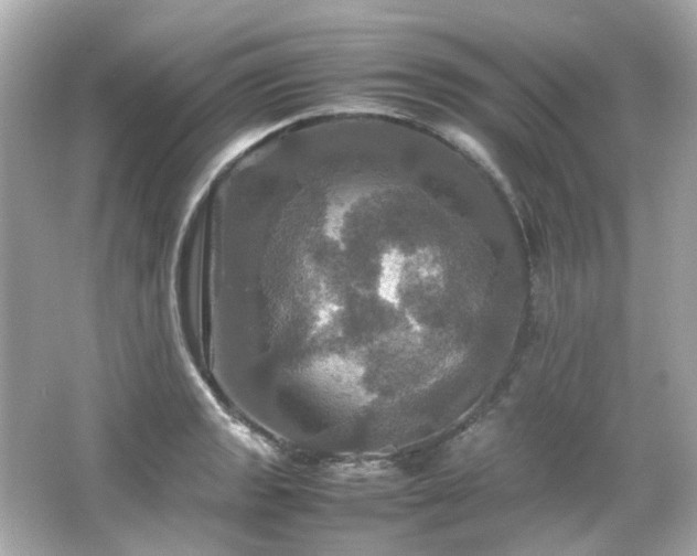 X0000066541133200603201419